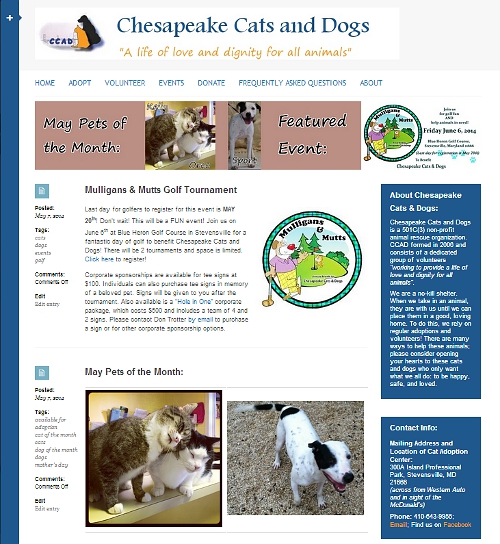 Chesapeake Cats and Dogs website snapshot