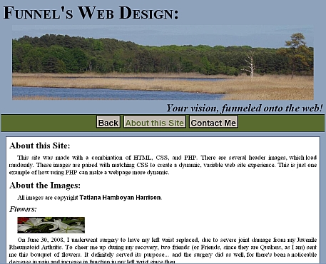 funnel's Web Design (original version) website snapshot